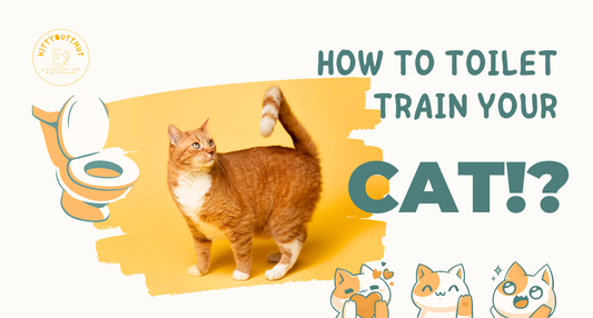 Mastering the Art of Toilet Training for Cats: A Pawsitively Clever Approach