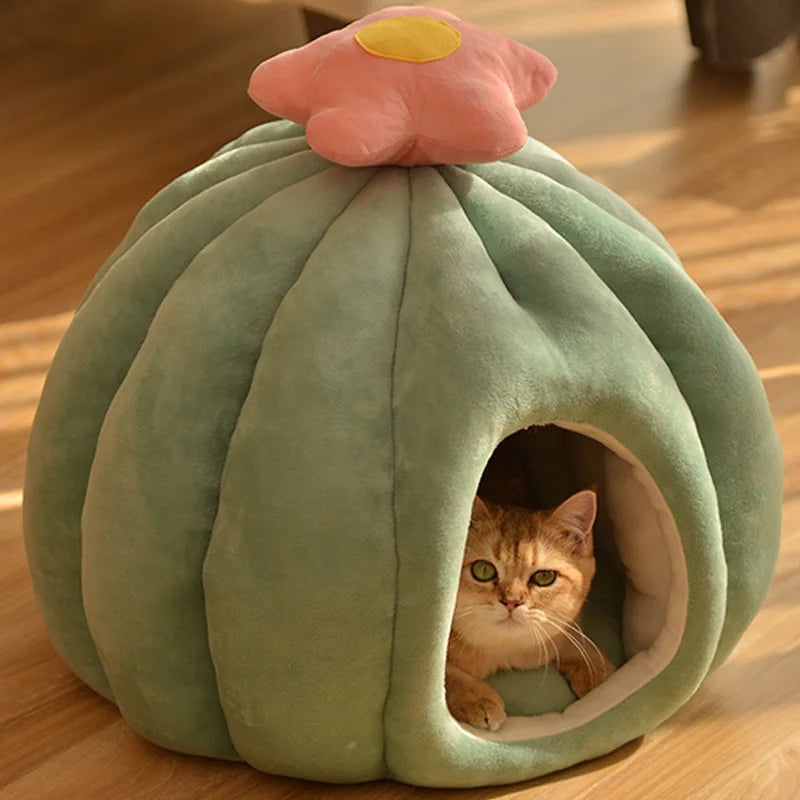 Cactus Flower Cat Nest - KittyButtHut
